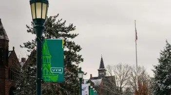 banners on light poles