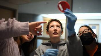 person holds up a Petri dish and looks at it
