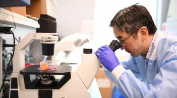 person looking into a microscope. 