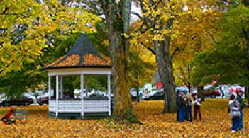 A small white gazebo in autumn