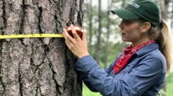 Student measuring the circumferance of a tree trunk