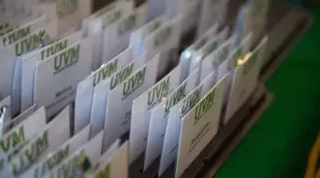 photo of many business cards lined up together