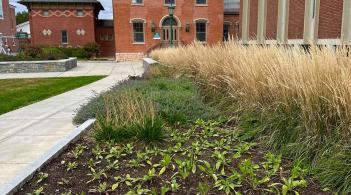 Link, Comprehensive Sustainability Plan
