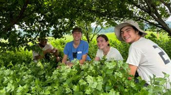Undergraduates in the field
