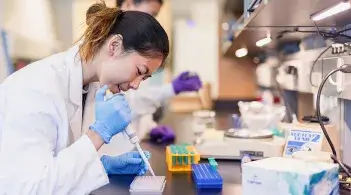 A student working in a laboratory