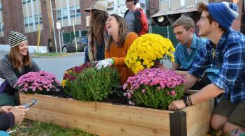 Students and neigbors working on fall planting in a raised bed.
