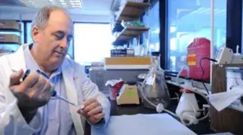 David Schneider, M.D., working in his lab at the University of Vermont’s Larner College of Medicine (Photo: David Seaver)