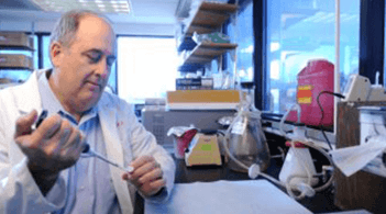 David Schneider, M.D., working in his lab at the University of Vermont’s Larner College of Medicine (Photo: David Seaver)
