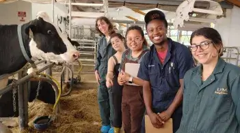 Dr. Julie Smith is in the UVM dairy barn standing next to a black and white cow, along with a UVM graduate student, two visiting veterinary interns, and the CREAM herd manager.