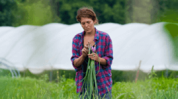 Agricultural focused work study, student standing in field of crops