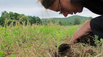 someone crouched over soil and greenery, digging in it