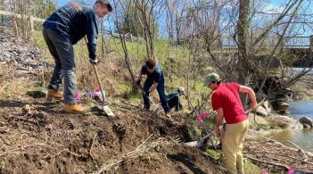 UVM students riverbank restoration