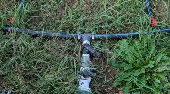 irrigation hoses on the ground