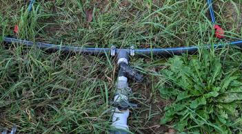 irrigation hoses on the ground