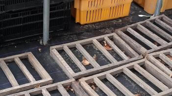 wooden pallets 