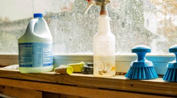 two bottles of cleansers and two scrub brushes