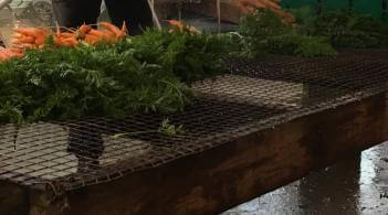 Someone hosing off vegetables on a large table