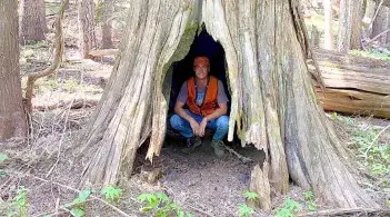 Jon Lewis crouches in the crevice of a tree trunk