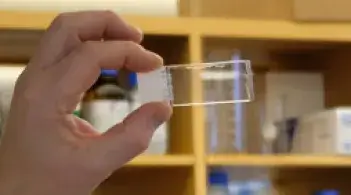 hand holding slide in the air