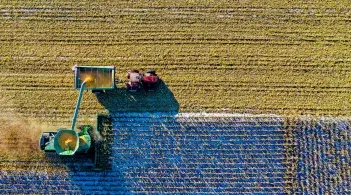 Stock image birds eye view crop harvest
