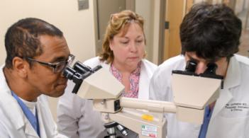 three clinical researchers looking in microscopes