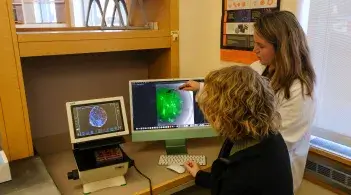 Researchers looking at screens in Morelli Lab