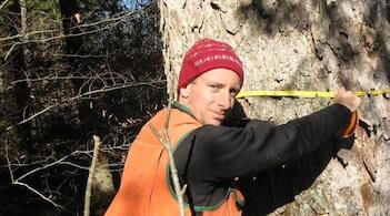a man putting a tape measure around a tree