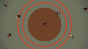 graphic of ticks on a target background