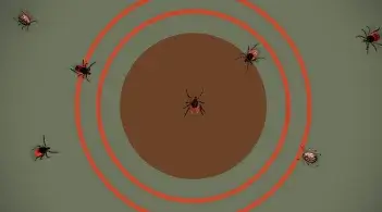 green background with red circles and ticks scattered throughout