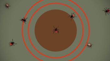 green background with red circles and ticks scattered throughout