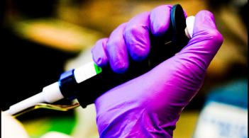 Purple latex gloved hand holding a pipette