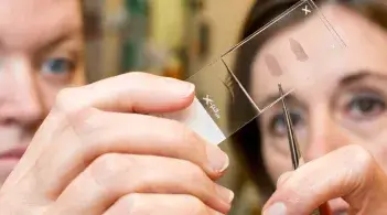 two people view a microscope slide