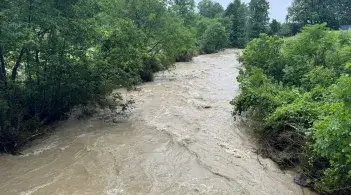 Lewis Creek