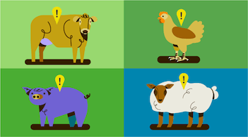 cartoon showing cow, chicken, pig, and sheep