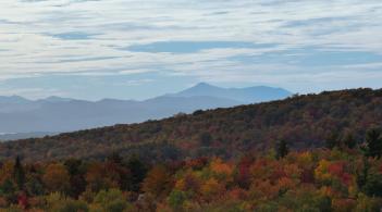 sky, mountains, and fall leaves
