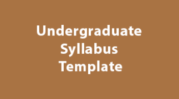 Undergraduate syllabus template