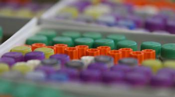 Capped test tubes in a rainbow of colors
