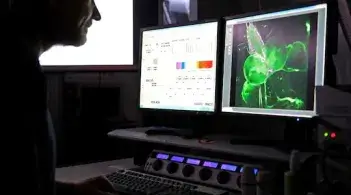 A researcher examines a computer screen