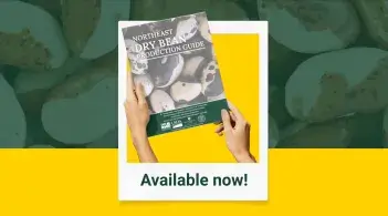 Dry Bean Production Guide