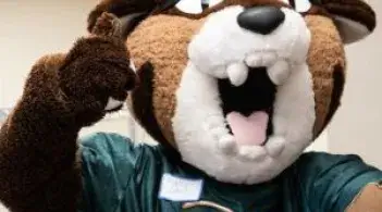 Catamount