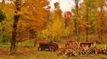 autumn forest and field with farmer on a tractor