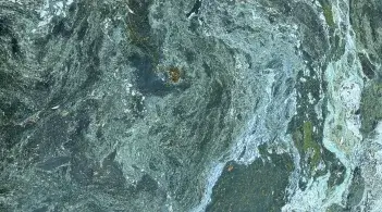 An algae bloom
