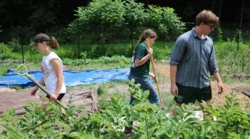 Summer Interns