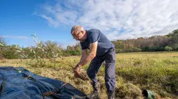 Farm Grant