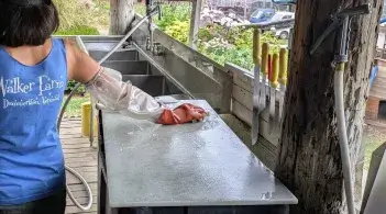 cleaning contact surface