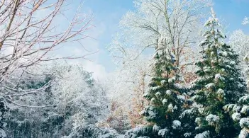 Winter