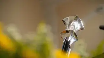University Mace