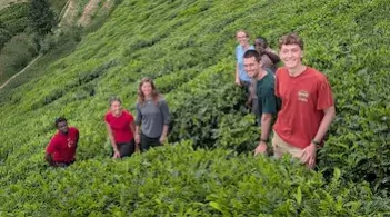 Students standing in a field of green underbrush