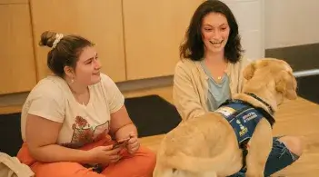 Therapy dog at UVM