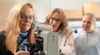 three researchers in lab looking into microscope
